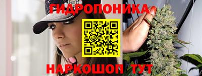 стаф Ярославль