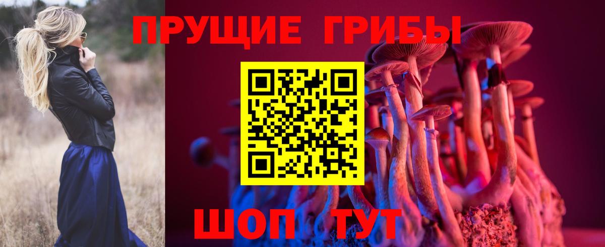 Псилоцибиновые грибы Cubensis Лабытнанги